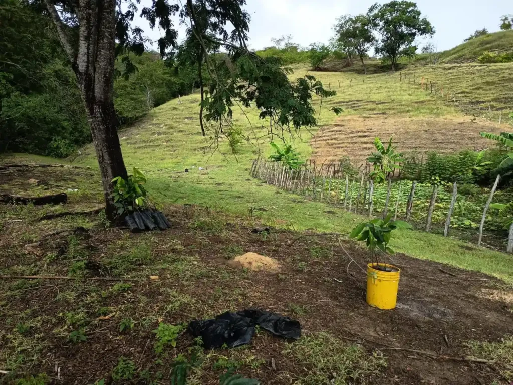 whatsapp image 2026 03 02 at 3.57.23 pm (2)