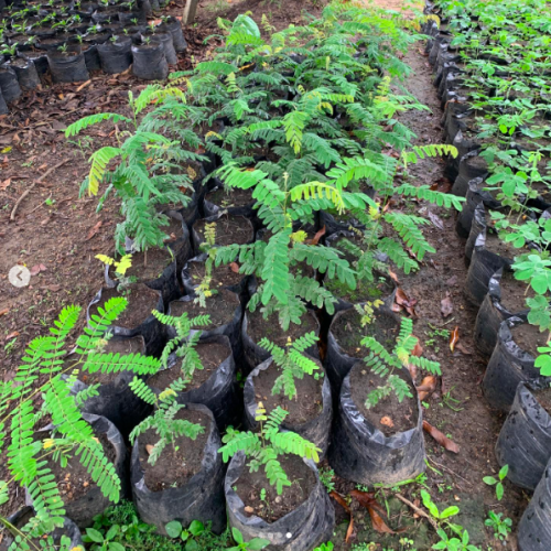 Captura de Pantalla 2026-03-13 a la(s) 18.23.11