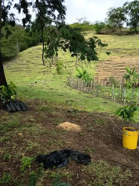 whatsapp image 2026 03 02 at 3.57.23 pm (2)