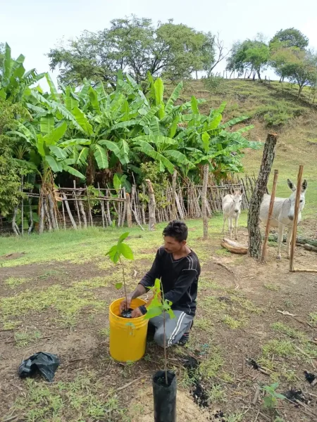 whatsapp image 2026 03 02 at 3.57.23 pm (3)