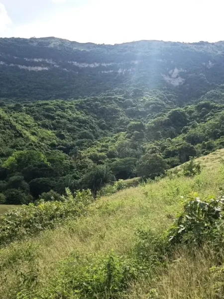 whatsapp image 2026 03 02 at 3.57.30 pm (1)