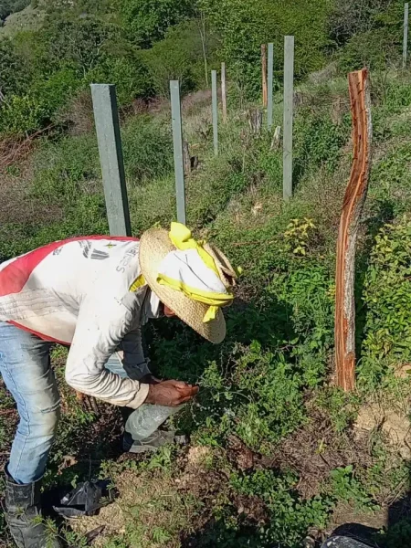 whatsapp image 2026 03 02 at 3.59.43 pm (2)