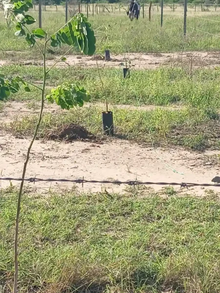 whatsapp image 2026 03 02 at 3.59.43 pm (3)