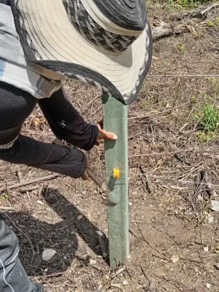 whatsapp image 2026 03 02 at 3.59.44 pm (2)